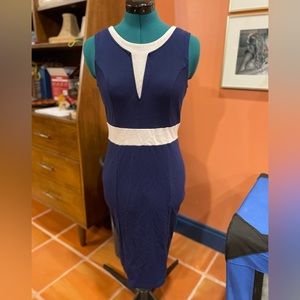 Navy and White Sheath Dress Amazon Small